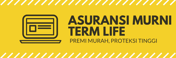asuransi term life