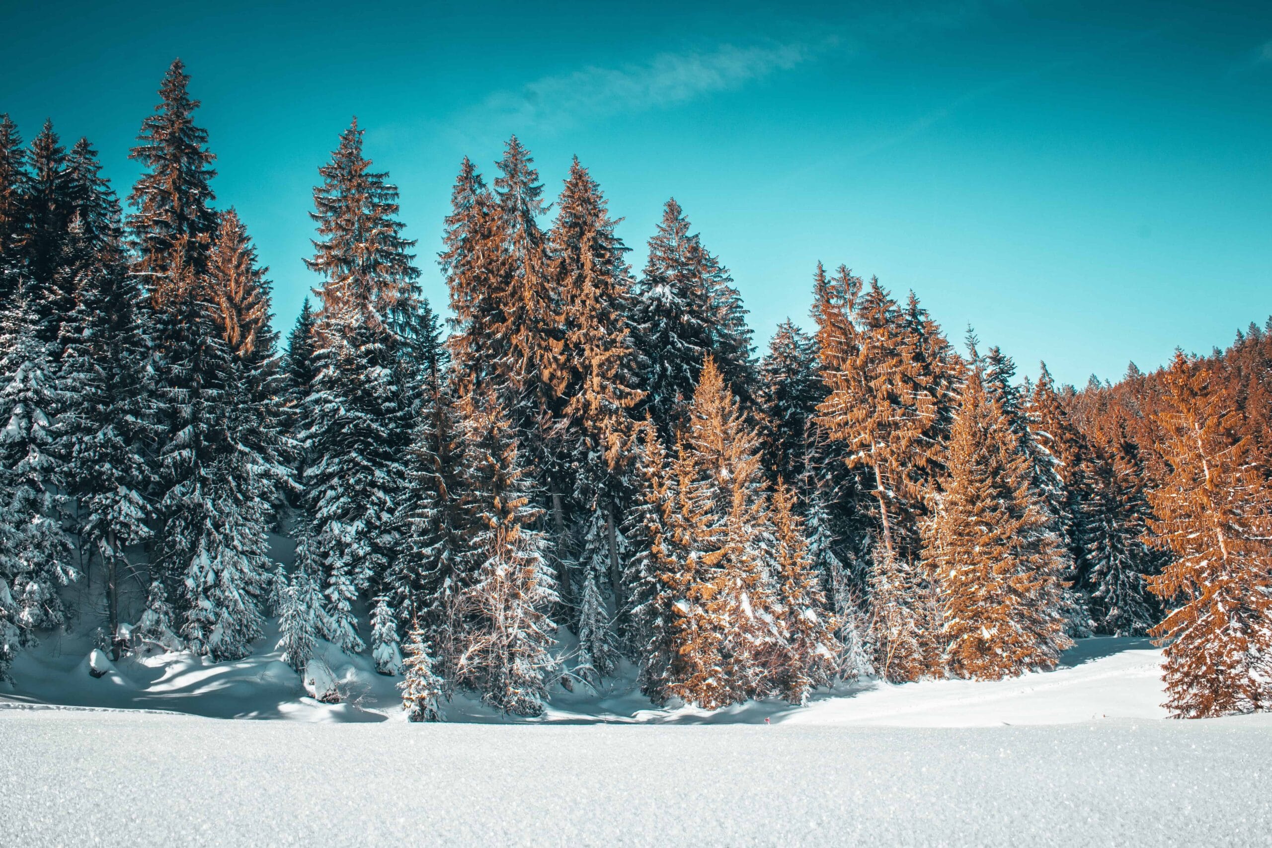 10 Pinjaman KTA Tanpa Kartu Kredit Proses Cepat dan Syarat Mudah