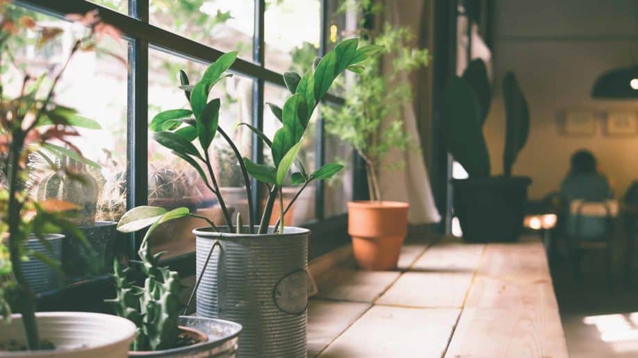 Tips Lolos KPR Rumah