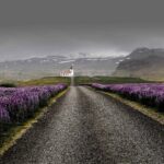 Cara Cepat Bebas Hutang