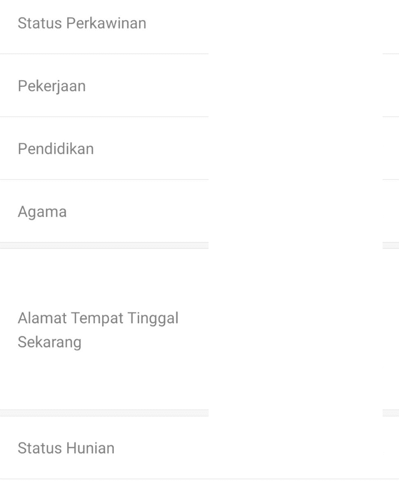 Aplikasi Finmas Pinjol