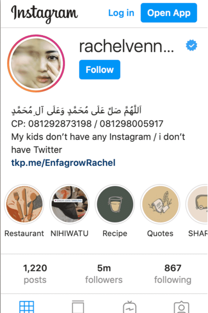 Instagram Influencer - Mencari Uang di Internet