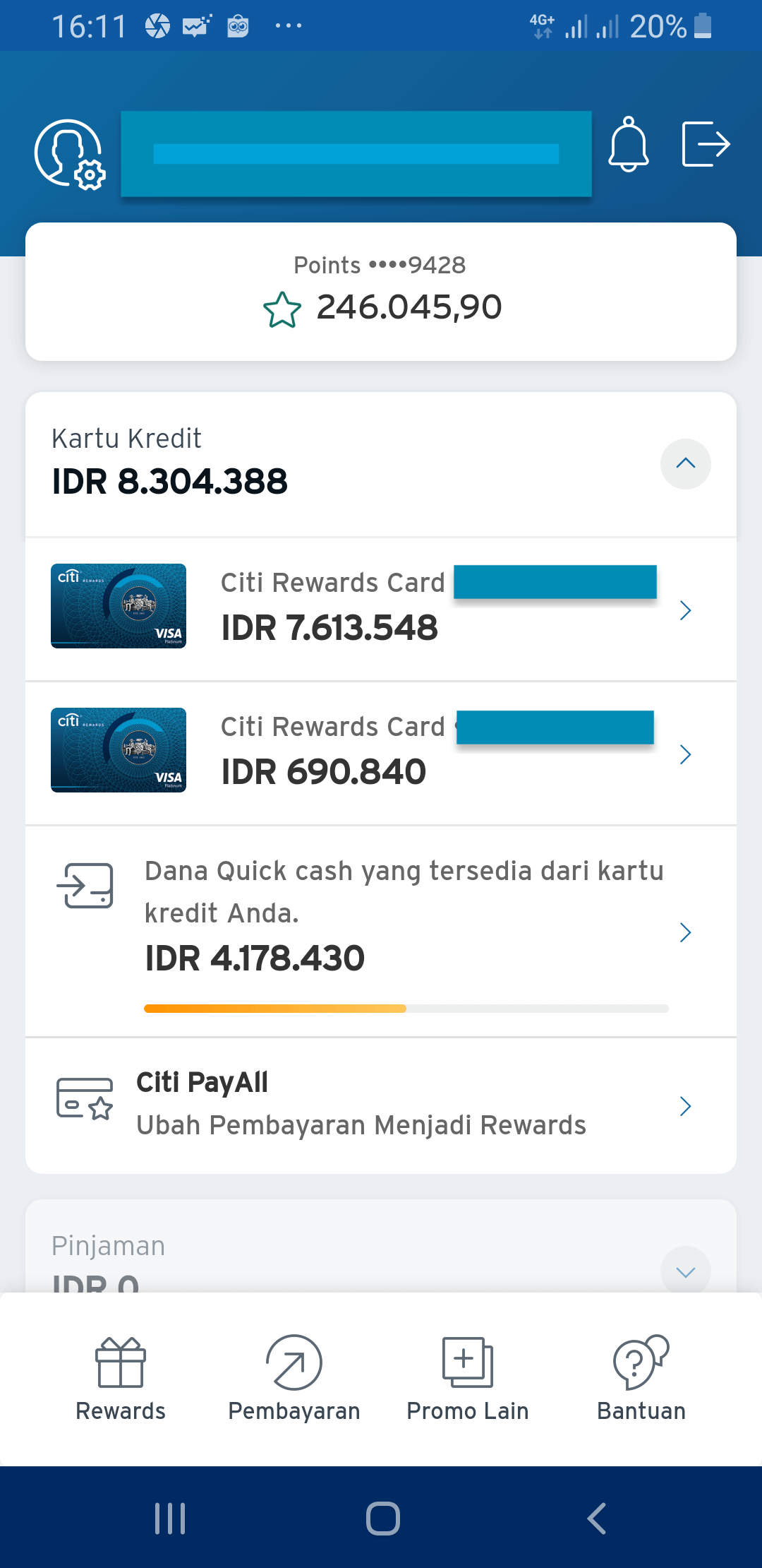 Data Kartu Aplikasi Citi Online